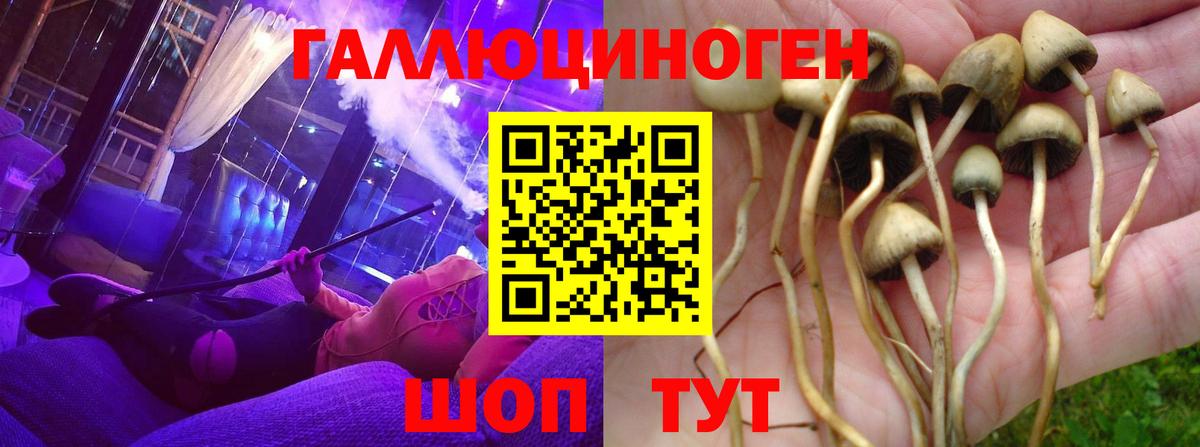 Ноябрьск  Галлюциногенные грибы мицелий  Вход с VPN 